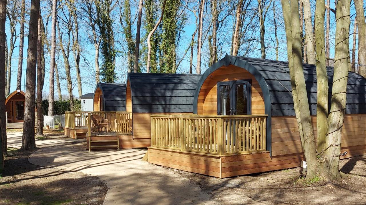 Pinewood - At Port Lympne Reserve Hythe  Exterior foto
